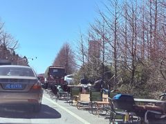 -东白山