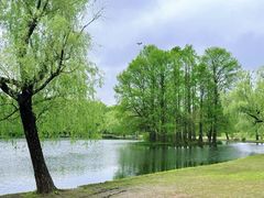 -上海共青森林公园