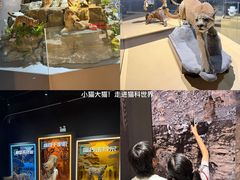 -厦门诚毅自然探索馆