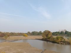 -溱湖国家湿地公园