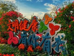 -莲花山公园