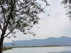 -野鸭湖国家湿地公园