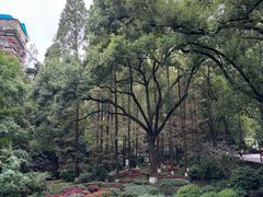 -忠山公园