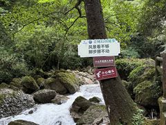 -青城山