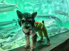 -太平洋海底世界