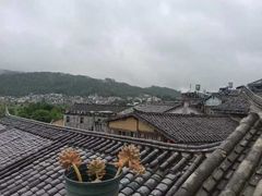 -YLK云南小粒咖啡·云里咖(二号店)