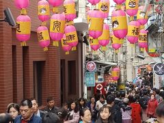 -猫咪博物馆(顶澳仔猫街店)