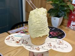 -野人先生现做冰淇淋(北京顺义祥云小镇店)