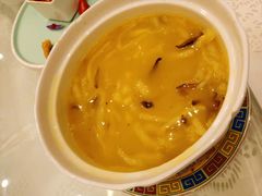 -阳光雷迪森广场酒店(中山东路店)