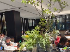 -金春禧(世茂国际广场店)