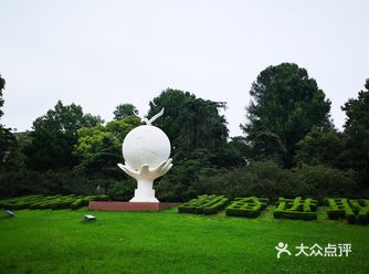 没有樱花的南林绿意盎然