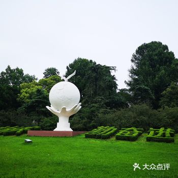 没有樱花的南林绿意盎然