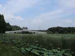 -东湖落雁景区