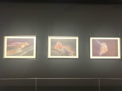 -罗红摄影艺术馆