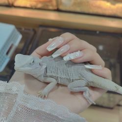 -Moni星球萌宠·小马宝莉·灵蛇·高端高阶全萌宠互动体验俱乐部(红豆国际广场店)