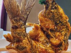 糖醋鲤鱼-闫府私房菜·百年鲁菜(恒隆店)