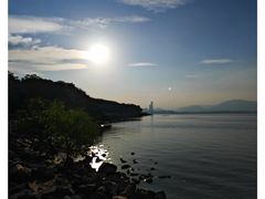 -深圳湾公园(南山区)