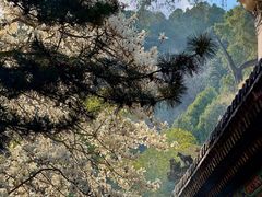 -潭柘寺景区