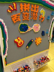 -乐高授权专卖店(华采天地店)