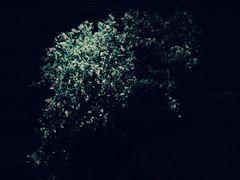 -见山茶事(丽水路店)