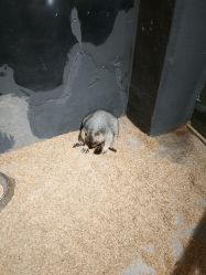 -酷嗒动物文化乐园(cutezoo西溪乐天城店)