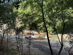 -广州白江湖森林公园