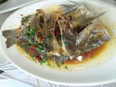 -金海湾海鲜排档(朱家尖店)