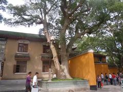 -兰剑驾校(汉阳校区)