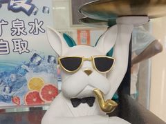 -半岛宠物医院24小时(白果林店)