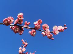 -天鹅湖体育公园