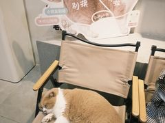 -伟伟宠物医院·CT影像中心·瑞派犬猫综合性门诊(汉口总院)