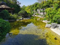 -上海吴淞炮台湾国家湿地公园