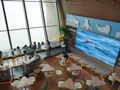 -抱抱地球咖啡馆(国家海洋博物馆店)