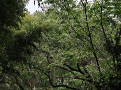 -乌村