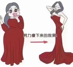-Fundi张玉珊修身堂·indiba·BTL科技瘦身