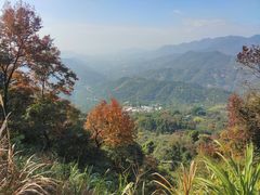 -广州市石门国家森林公园