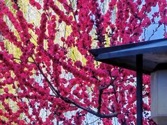 -木塔寺遗址生态公园
