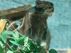 -青藏高原野生动物园