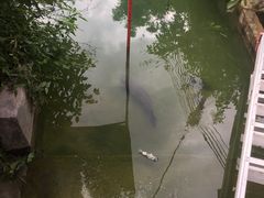-丰依竹食·老牌竹筒饭