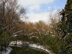 -荆川公园