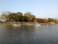 -昆山城市生态森林公园