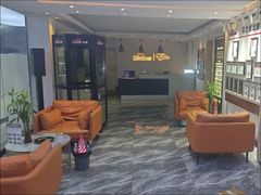 -车艺佳龙膜隐形车衣汽车贴膜(宝山丰宝店)