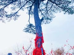 -秦岭终南山世界地质公园翠华山景区
