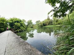 -西溪国家湿地公园