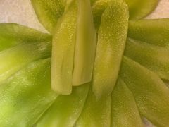 -唇辣号重庆老火锅(燕郊鑫乐汇店)