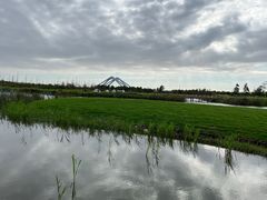 -春花秋色城市公园