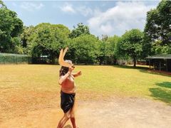 -热带雨林自然公园