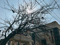 -清风小镇闯关东影视基地