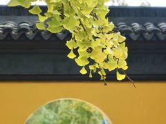 -西园戒幢律寺
