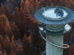 -黄海国家森林公园